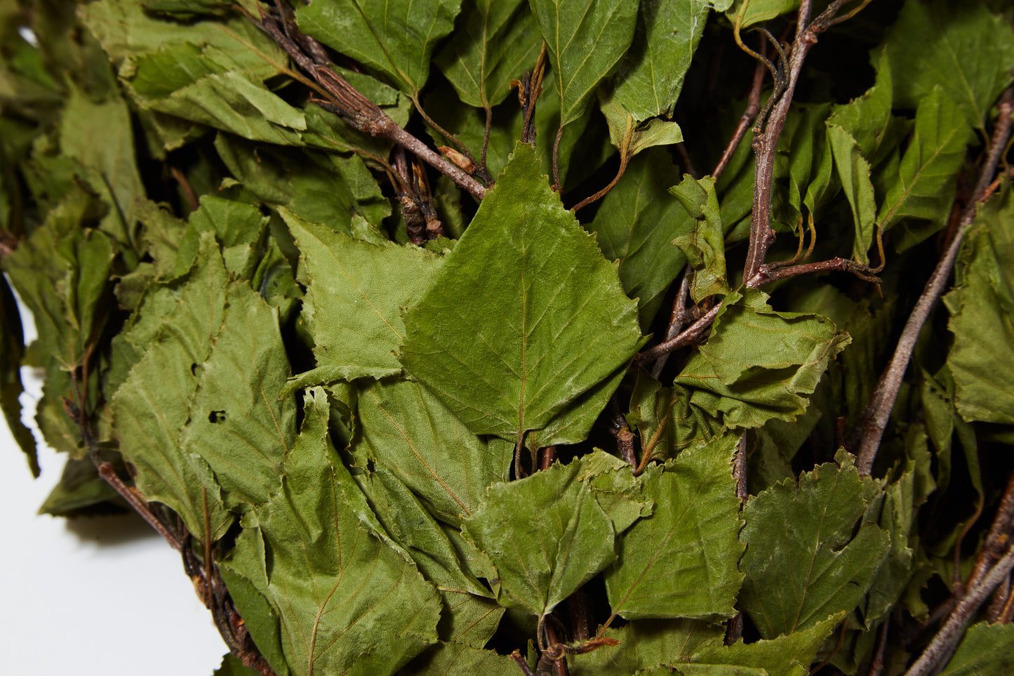 岩手県 平庭高原産 乾燥ヴィヒタ(白樺)