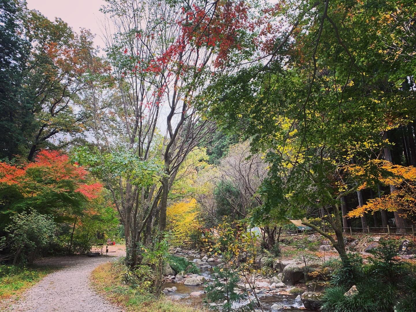 2024.11.23 紅葉ウィスキングまつり in ノサウナ ODAWARA