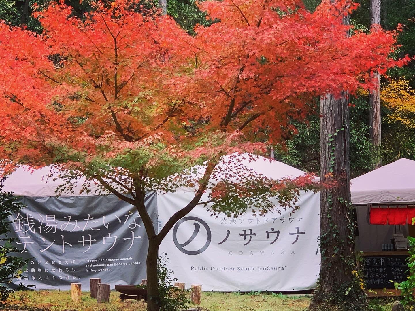 2024.11.23 紅葉ウィスキングまつり in ノサウナ ODAWARA