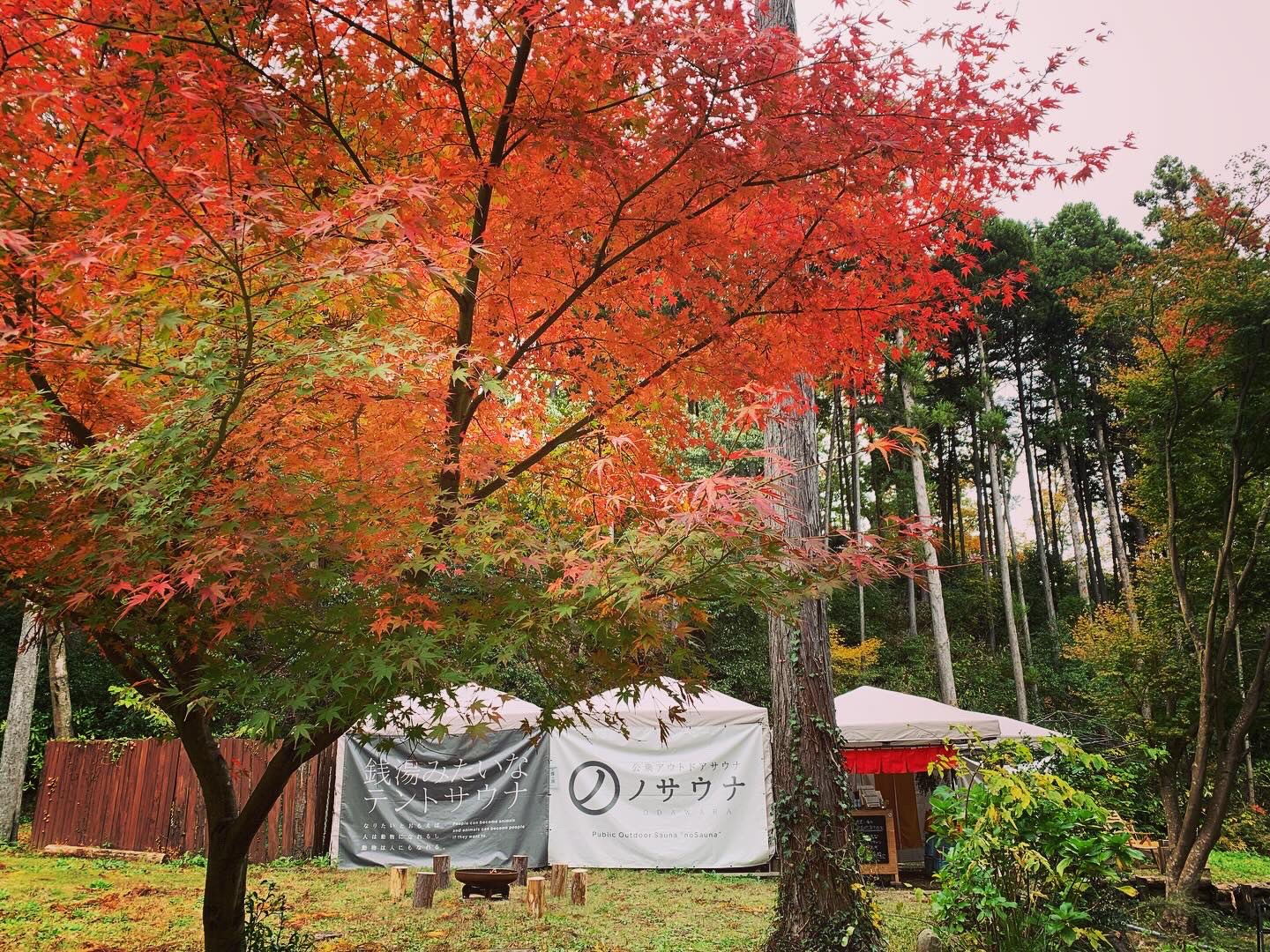 2024.11.23 紅葉ウィスキングまつり in ノサウナ ODAWARA