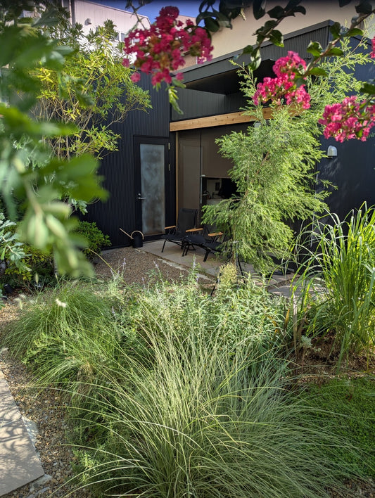 2026.4.19 ソロウィスキング（女性限定・新人価格）【ガレーラ・サウナ立川 プレミアム貸切エリア】ウィスキングイベント（しらかばスポーツ大感謝祭）