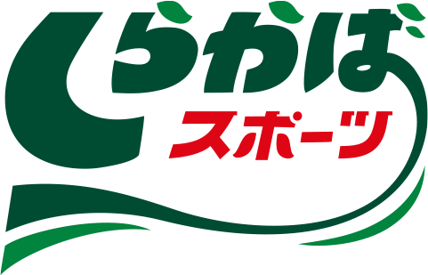 【ヴィヒタ販売】しらかばスポーツSTORE　ウィスキング用品専門店 白樺