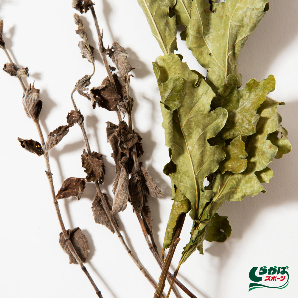 オーガニックサウナウィスク Oak+Mint（カシワ+ミント）